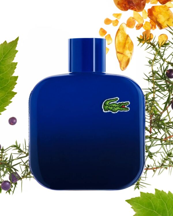 Eau de Lacoste L.12.12 Pour Lui Magnetic 100ml – Image 3