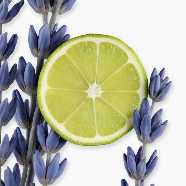 Parfums de Marly percival 125ml – Image 3