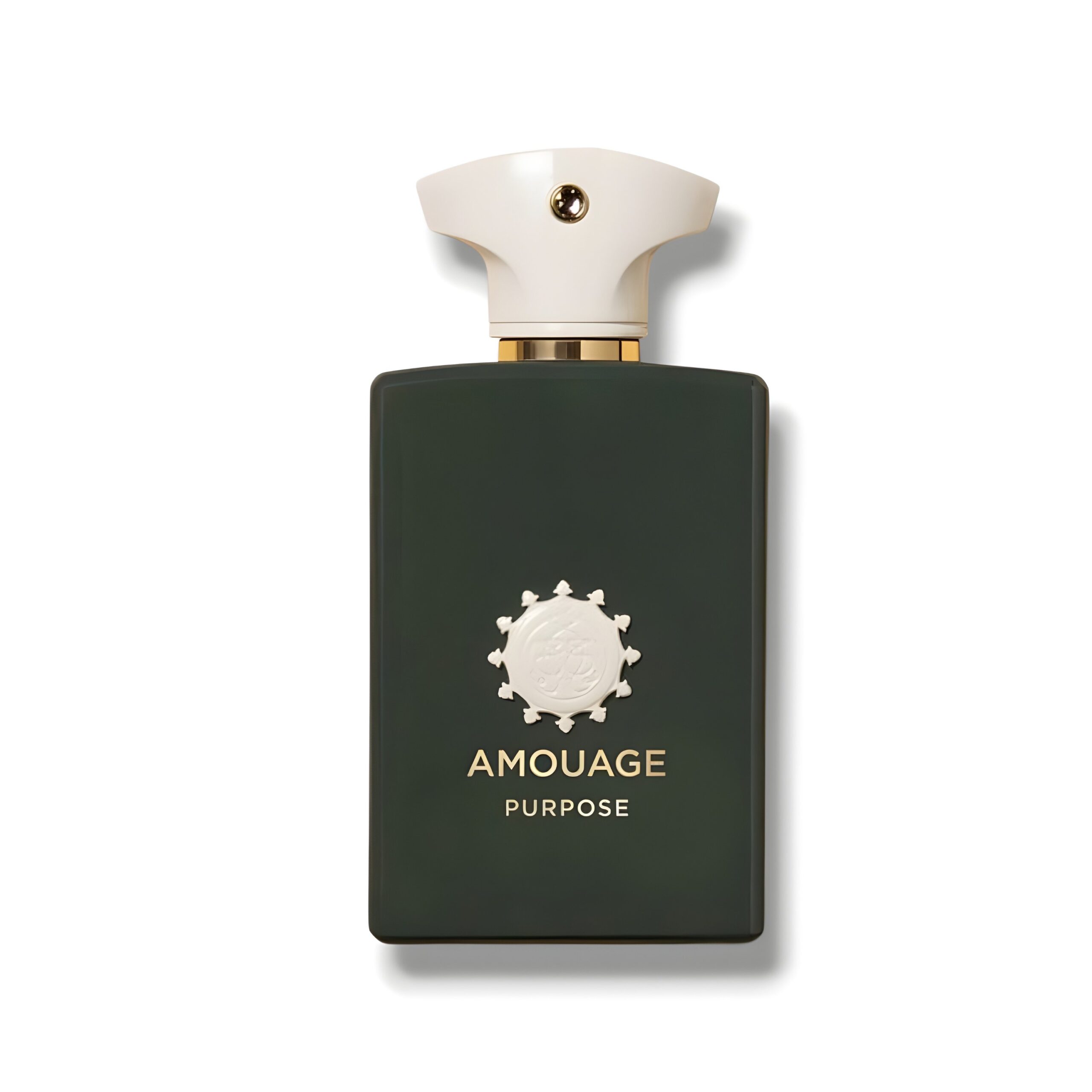 Amouage Purpose 100ml EDP