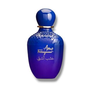 Amo Ferragamo Oriental Wood 100ml EDP