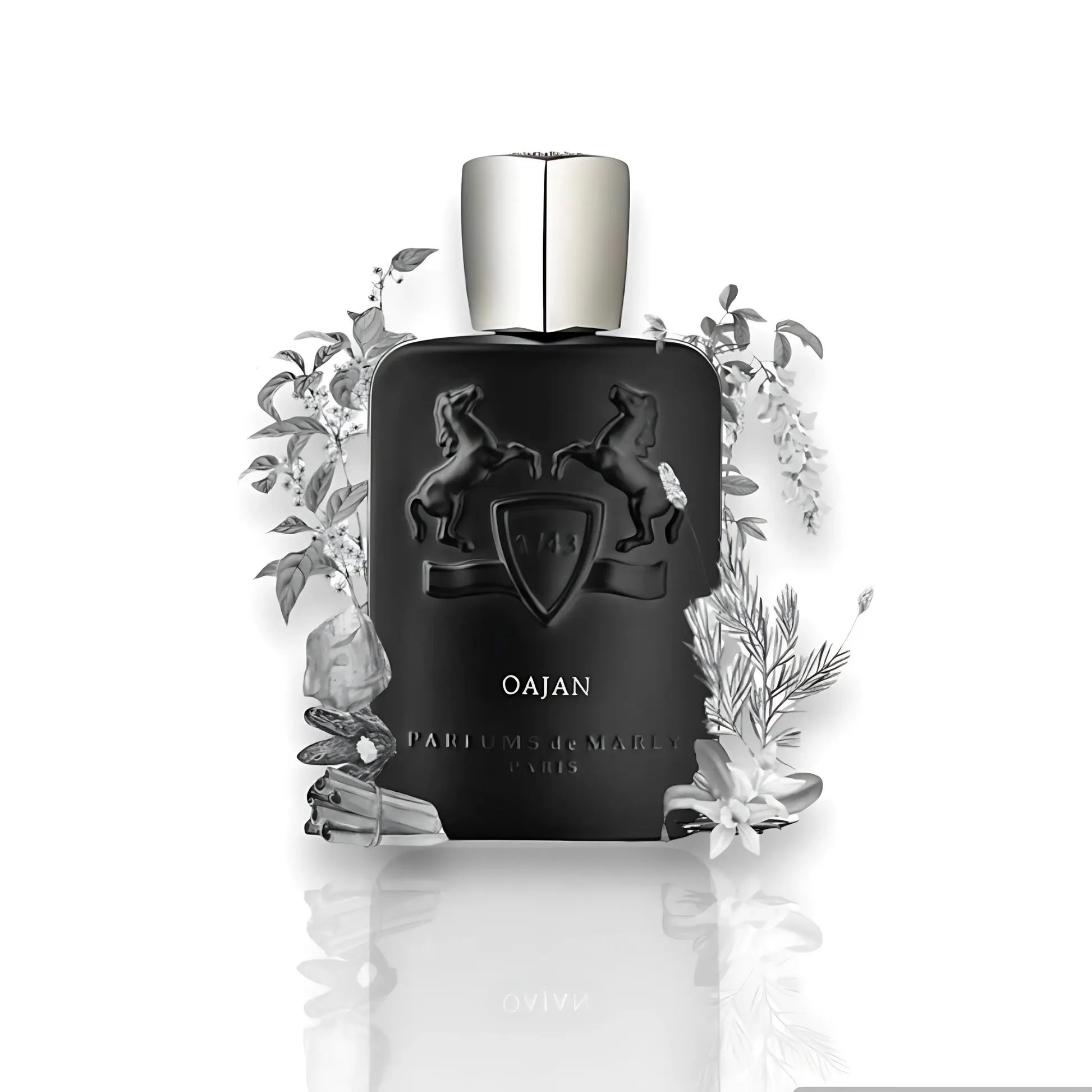 Oajan parfums de Marly 125ml – Image 5
