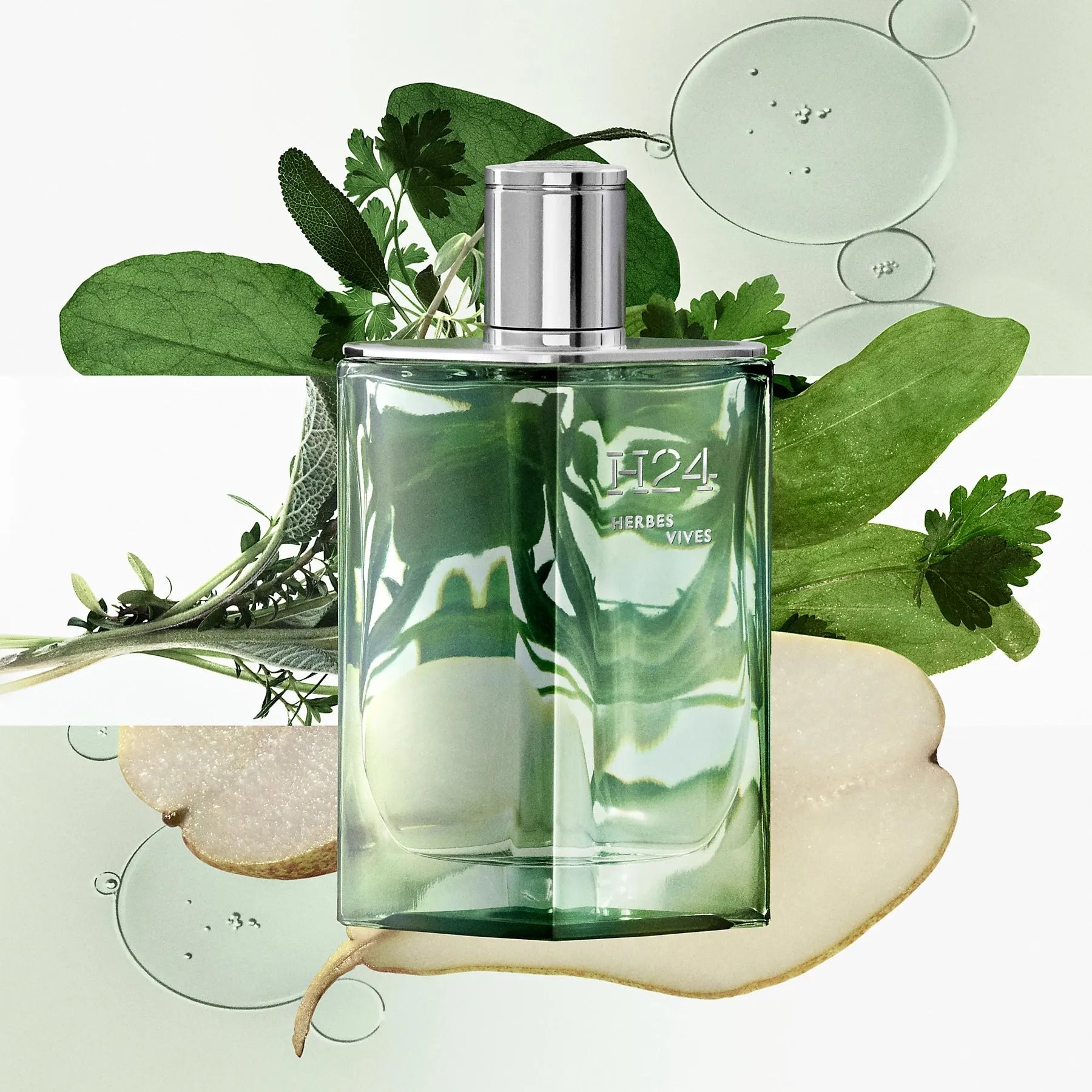 miniature H24 herbes vives 12.5ml – Image 3