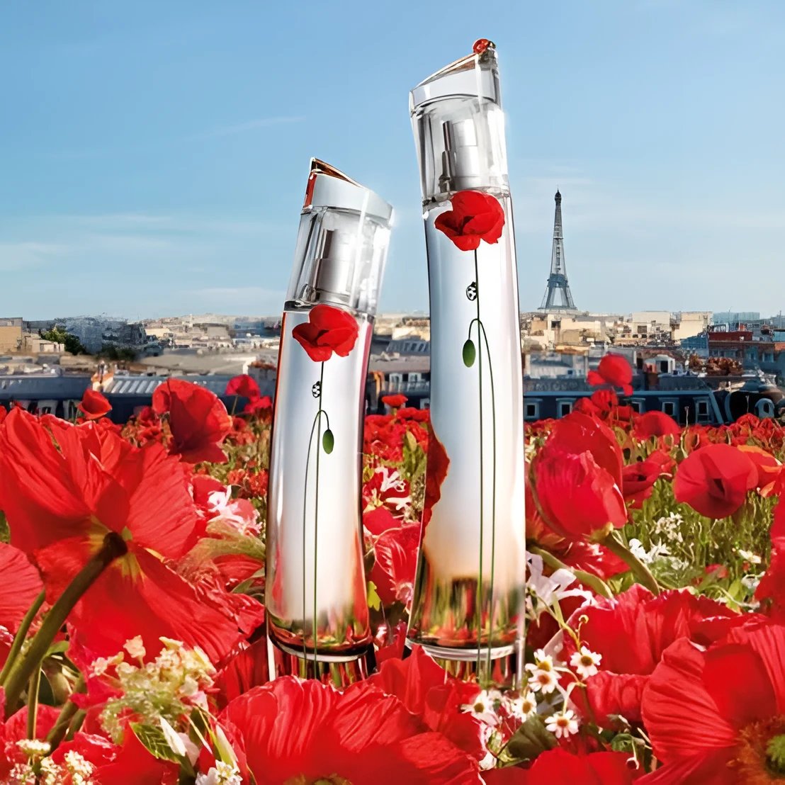 kenzo La Récolte Parisienne 75ml EDP – Image 3