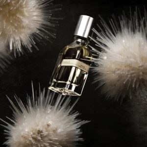 Seminalis orto parisi 50ml – Image 4